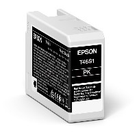 Epson Original Tintenpatrone schwarz C13T46S100
