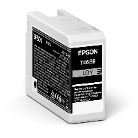 Epson Original Tintenpatrone fotograu C13T46S900